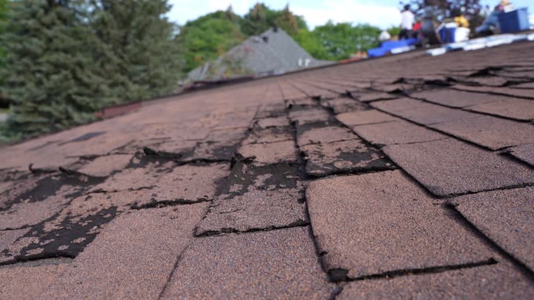 Best Flat Roofing  in Occoquan, VA