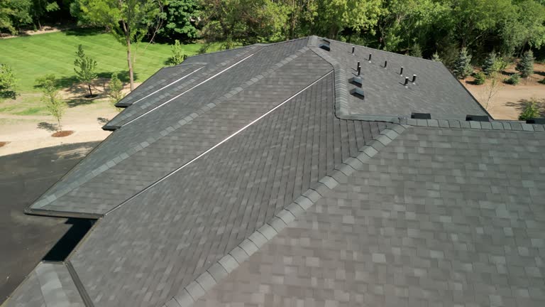 Best Sheet Metal Roofing  in Occoquan, VA